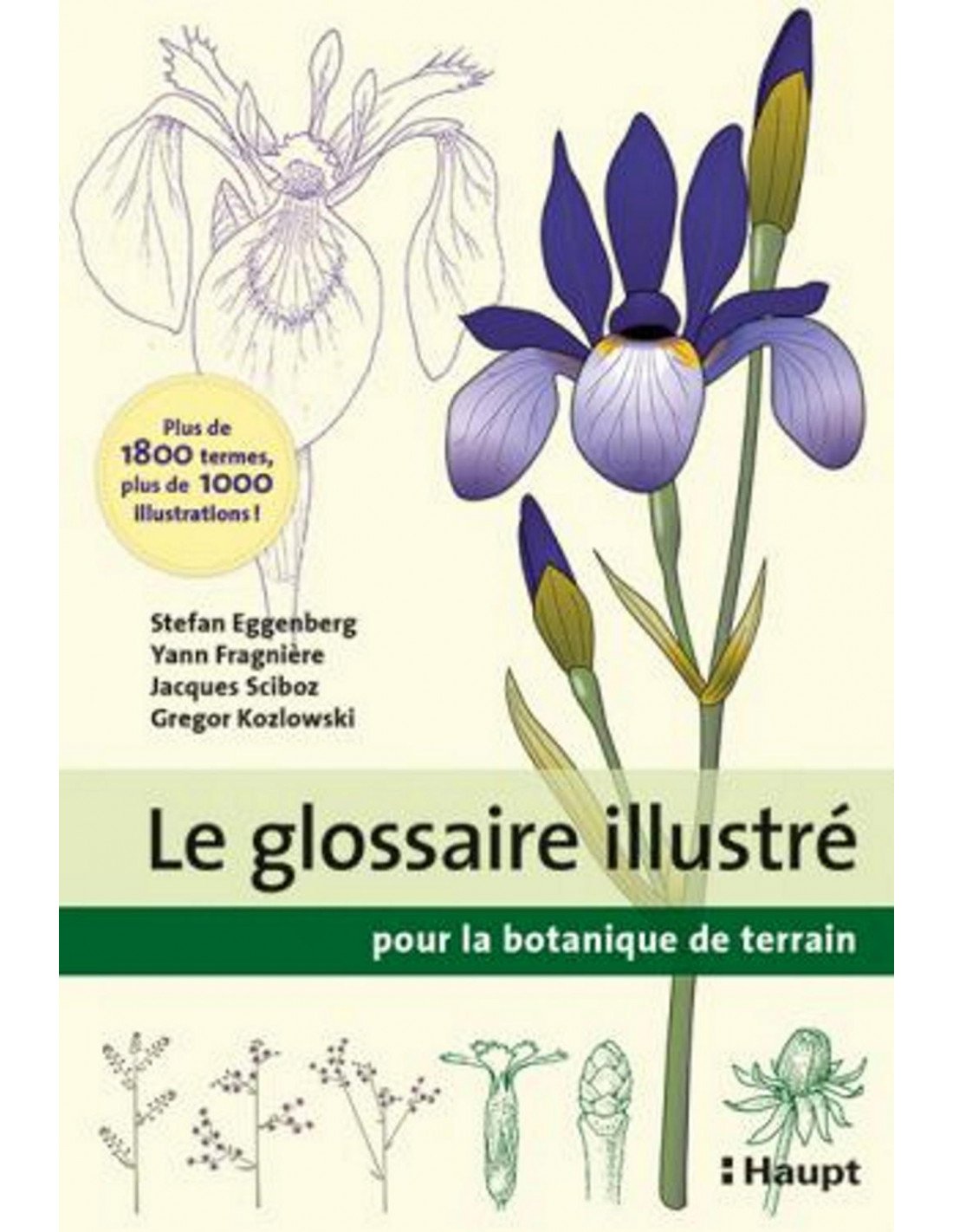le glossaire illustr pour la botanique de terrain