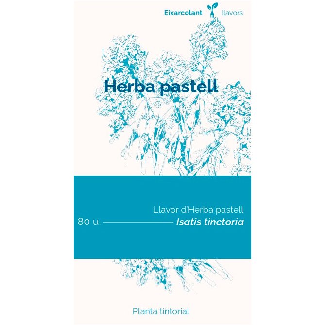collectiu eixarcolant. herba pastell (isatis tinctoria). llavors de varietats agrcoles tradicionals