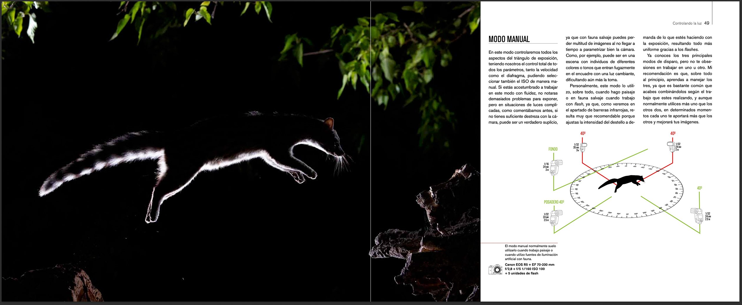 el fotgrafo de fauna