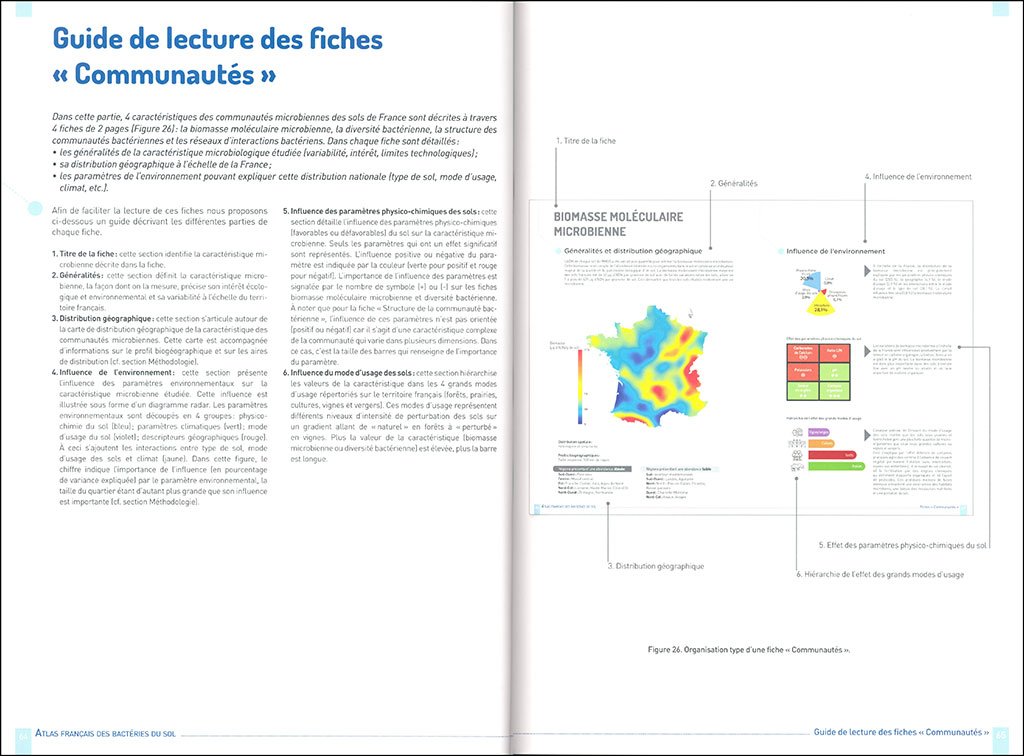 atlas franais des bactries du sol