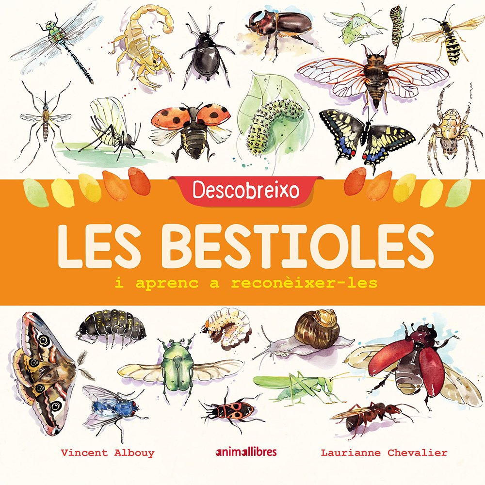 descobreixo les bestioles i aprenc a reconxer-les