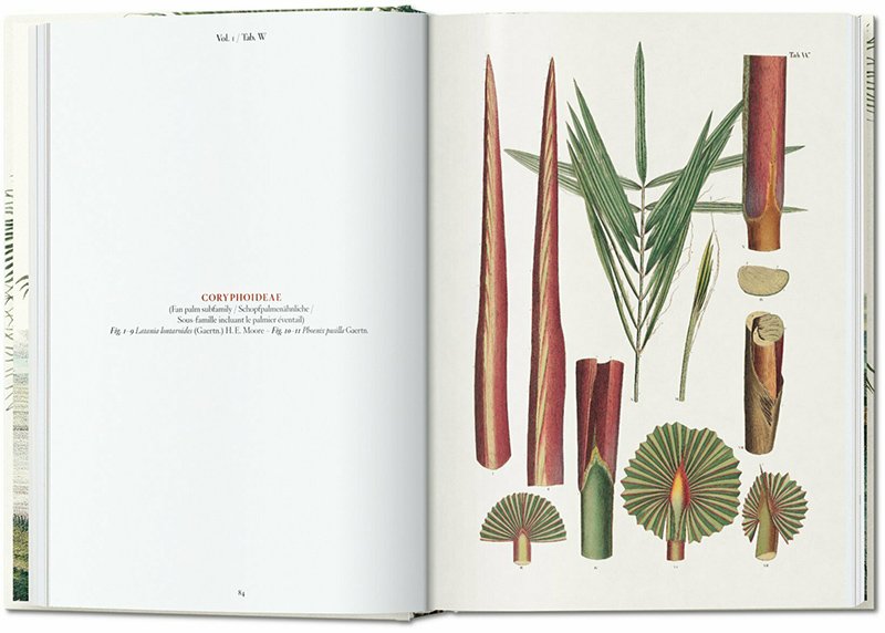 the book of palms. edicin 40 aniversario