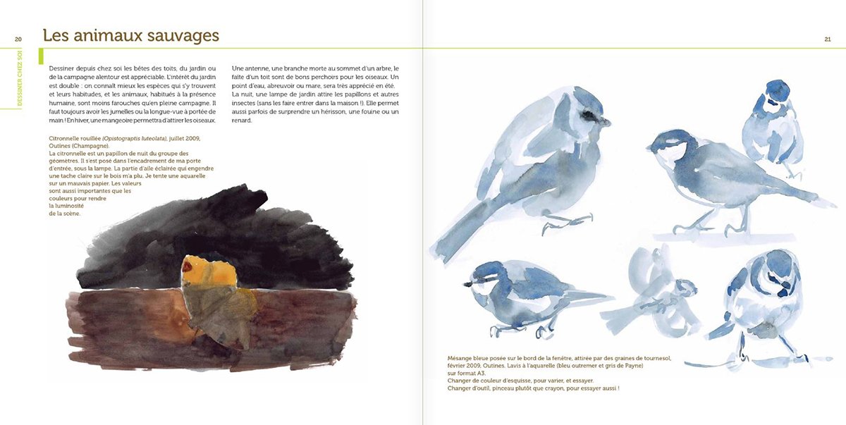 petites leons de dessin animalier. une approche de terrain