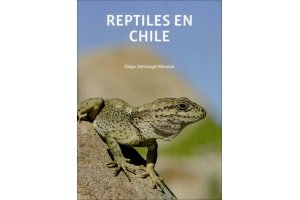 amfibis i rptils de centreamrica i amrica del sud