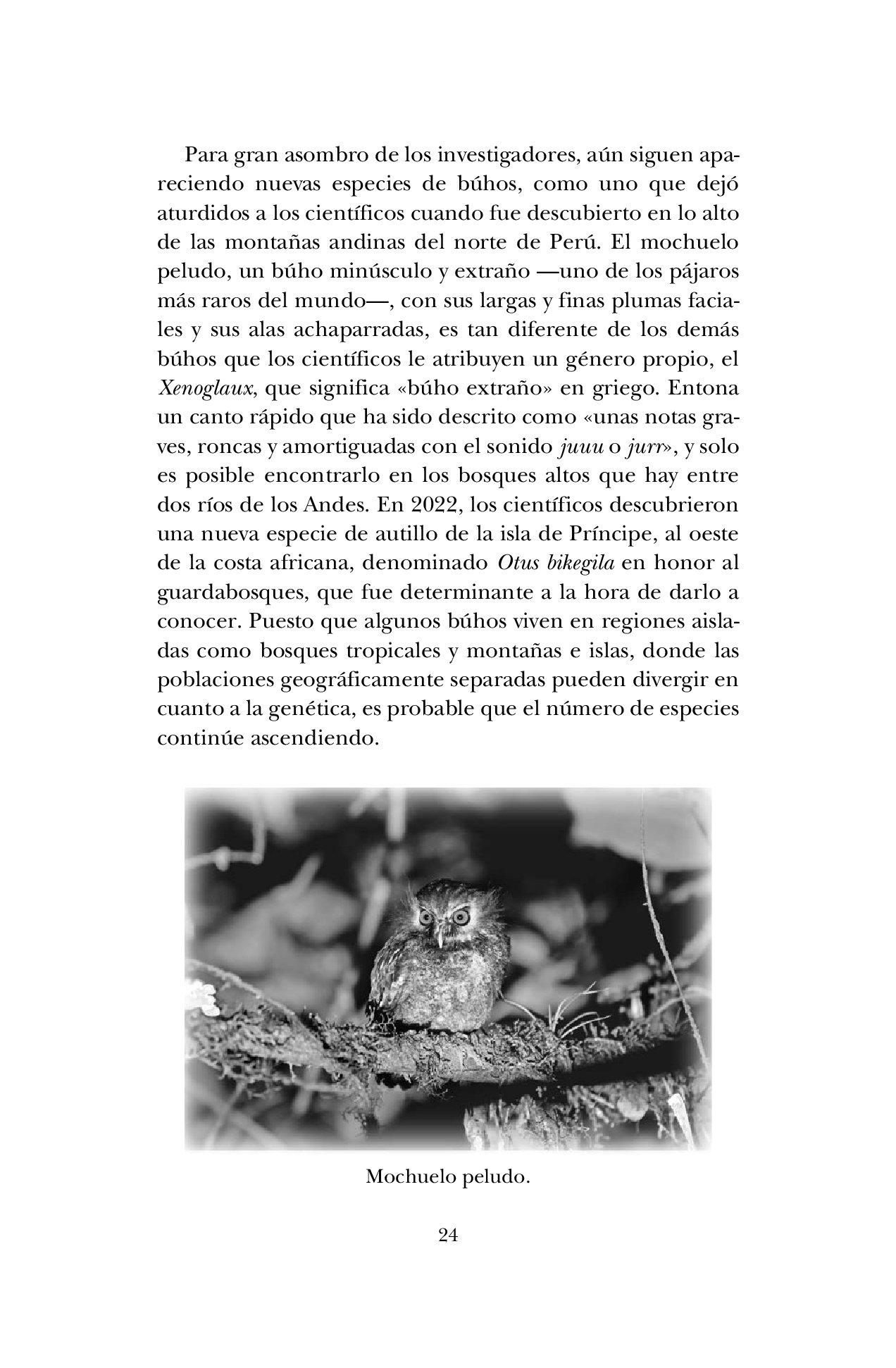 la sabidura de los bhos. una historia natural de las aves ms enigmticas del mundo