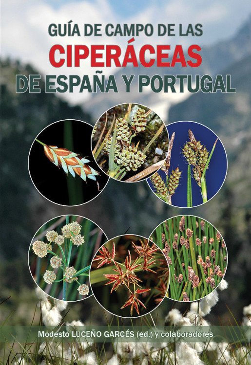 gua de campo de las ciperceas de espaa y portugal
