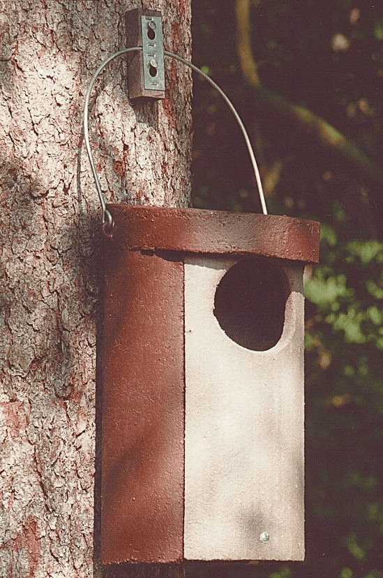 nr. 5 caja nido para crabo