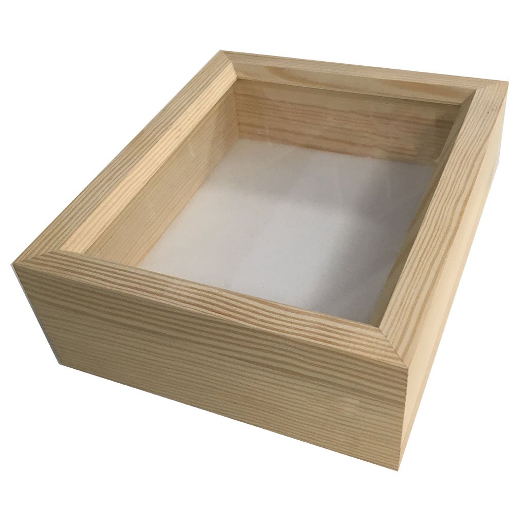 caja entomolgica de madera 15x18x6 cm