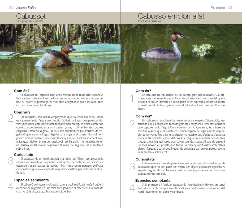 els ocells. conixer la natura amb jaume sa
