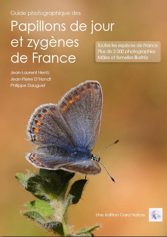 guide photographique des papillons de jour et zygnes de france. toutes les espces de france plus de 2000 photographies mles et femelles illustrs