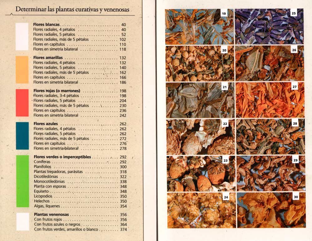 plantas medicinales de europa. descripcin de ms de 600 especies medicinales y venenosas