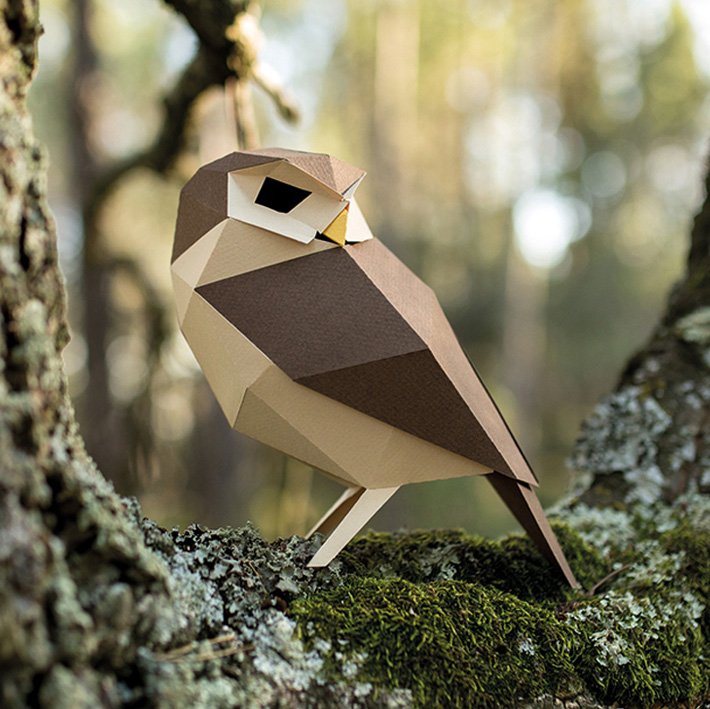 plegopaper - figura recortable de mochuelo europeo (mussol com)