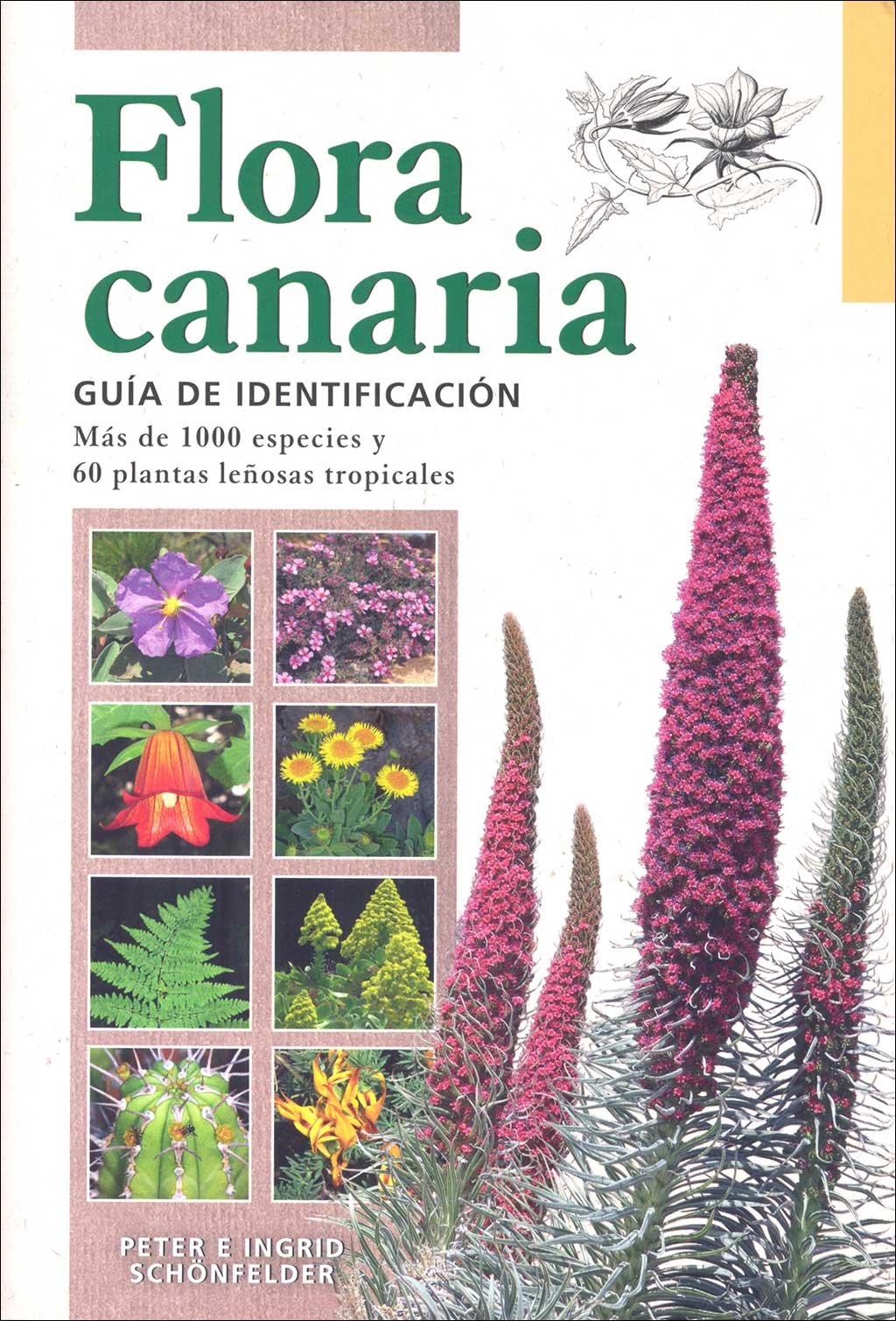 flora canaria. gua de identificacin