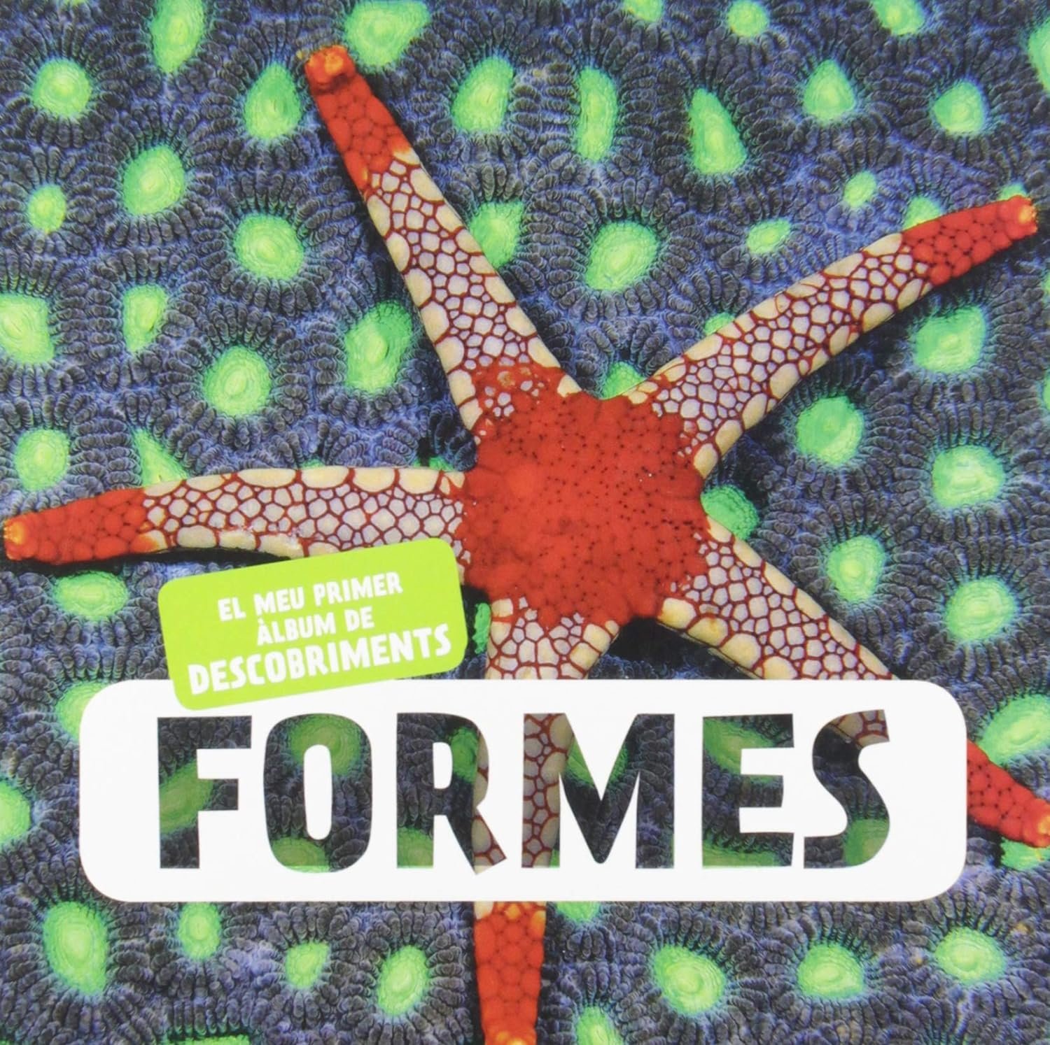 formes. el meu primer lbum de descobriments