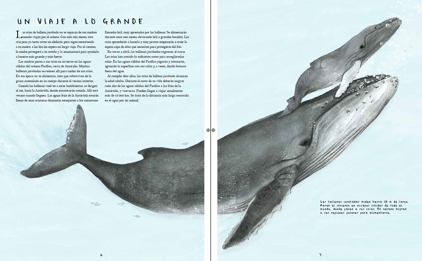 migraciones. los increbles viajes de los animales