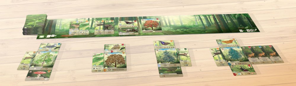 joc embosca't. forest shuffle en catal