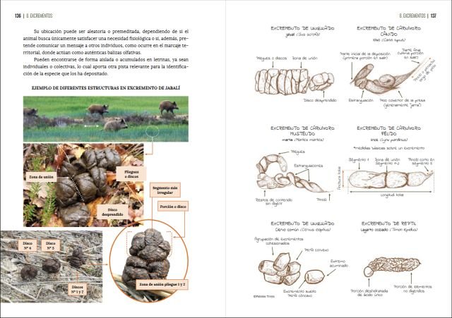 gua visual de huellas y rastros de la fauna de espaa y resto de europa