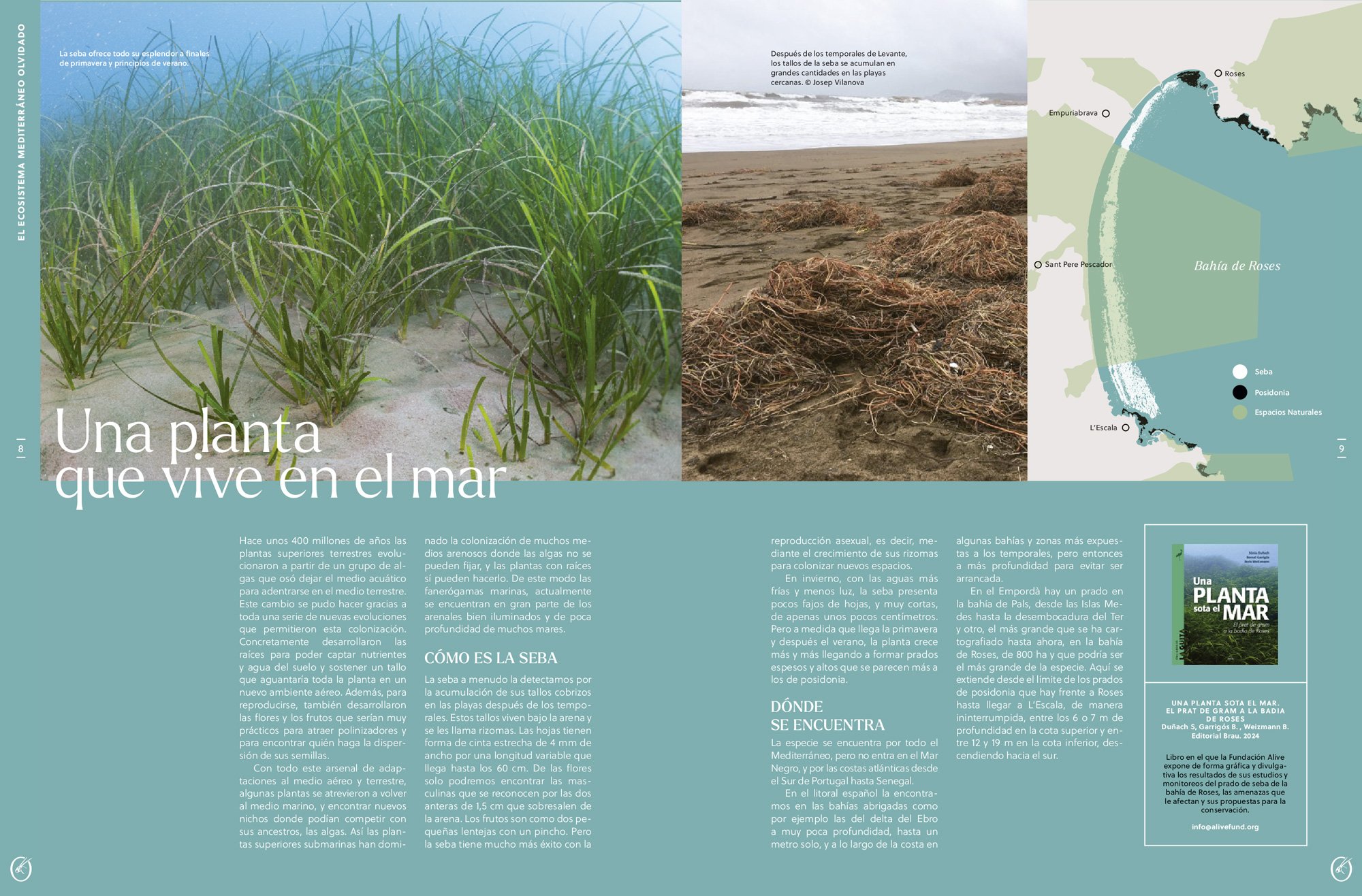 oryx, la revista del amante de la naturaleza. nmero 01. versin impresa en castellano.