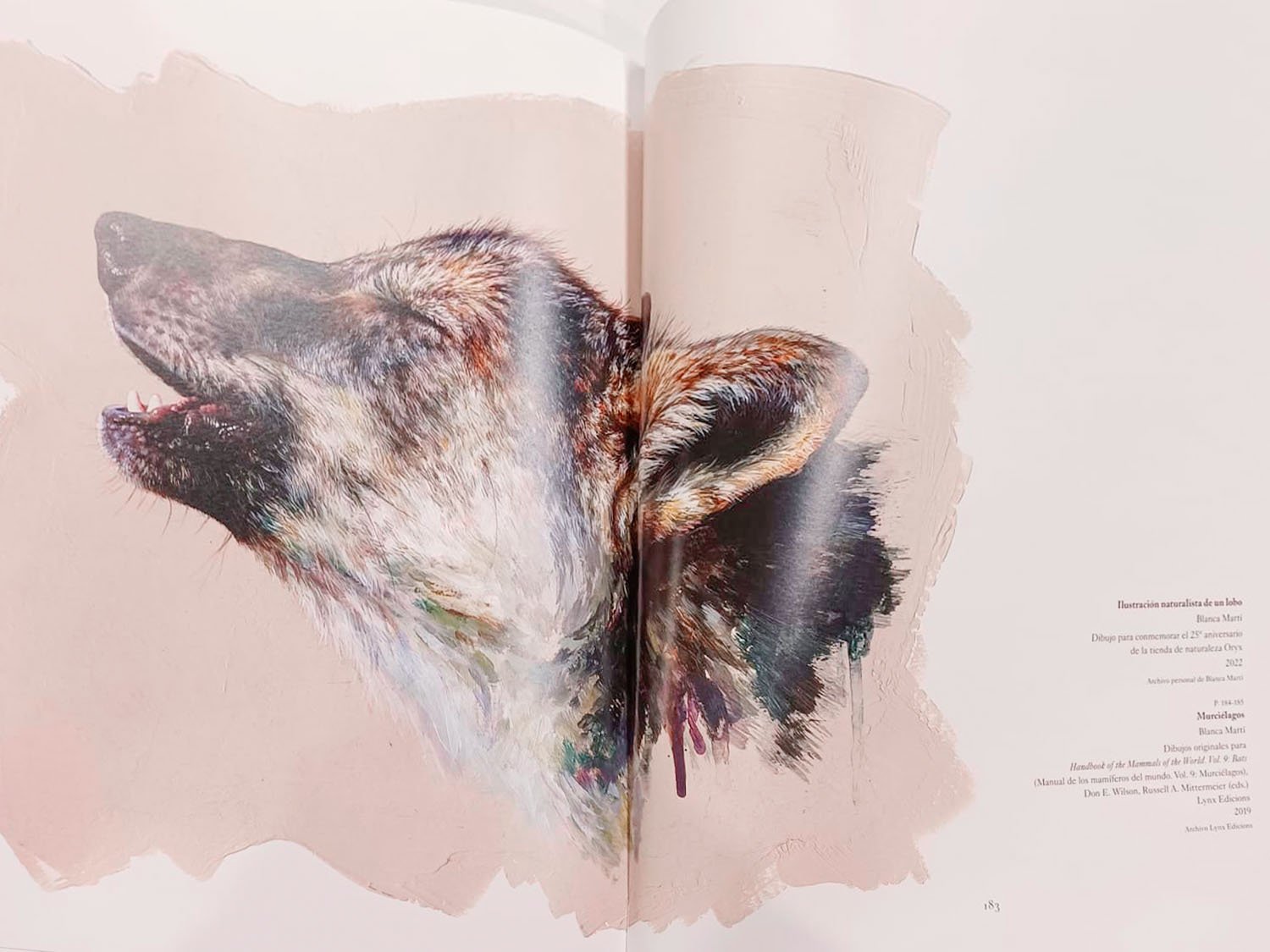 natura illustrada. quan l'art i la cincia es troben