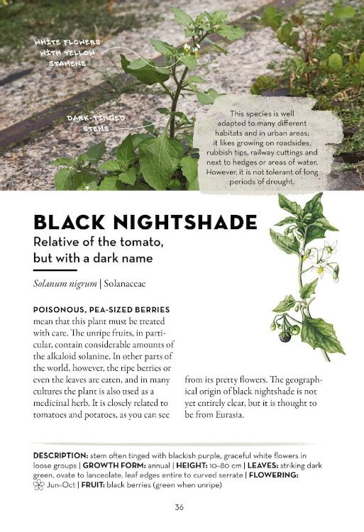a field guide to urban plants. the flora of pavements, walls and waste ground