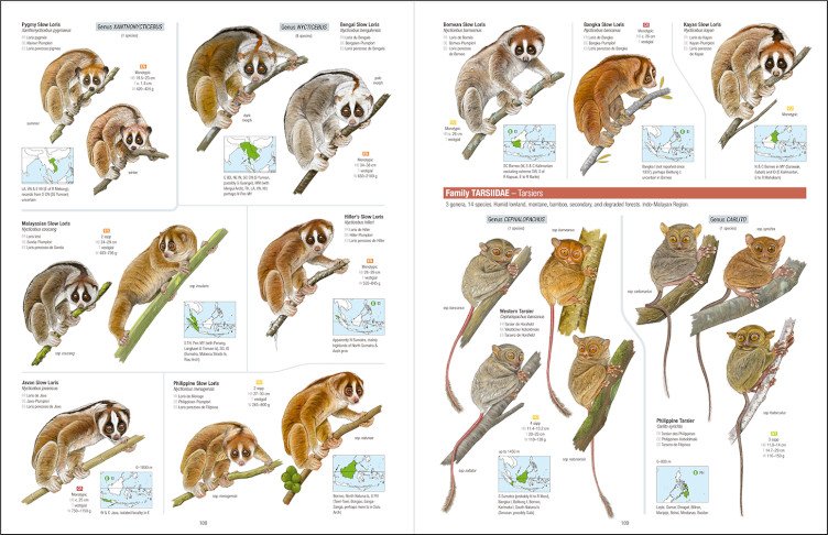 all the mammals of the world