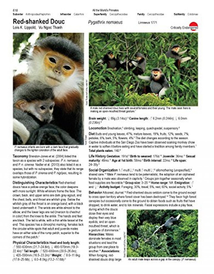 all the world's primates