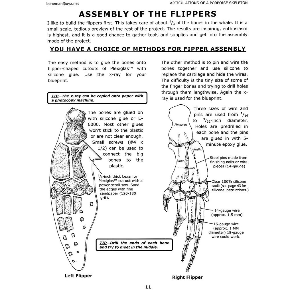 arcticulations of a porpoise skeleton, vol.1