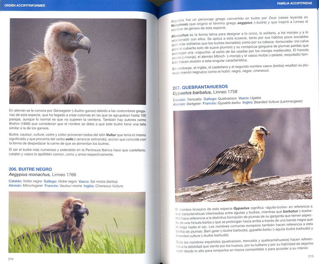 avetimologia. el origen de los nombres de las aves de europa