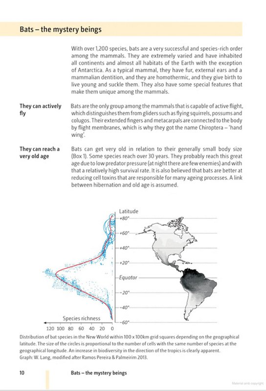 bats of britain and europe