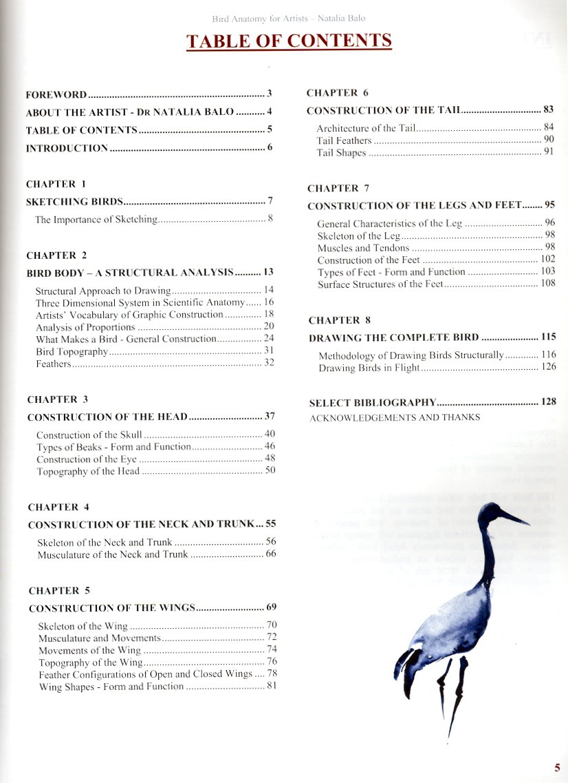 bird anatomy for artists comprehensive guide to drawing birds for artists and bird lovers