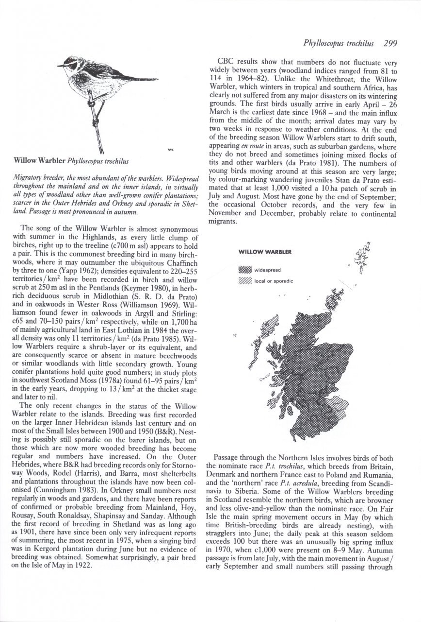birds in scotland