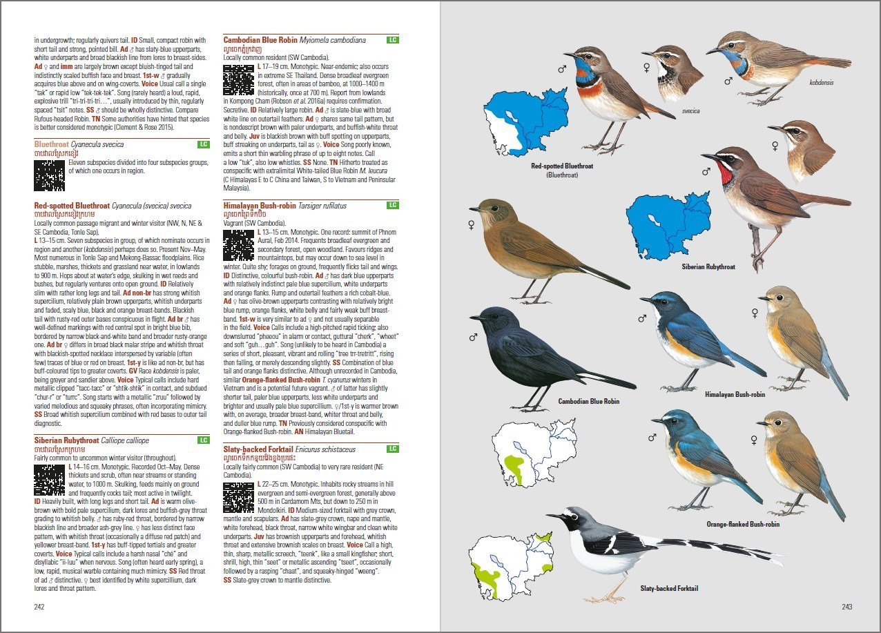 birds of cambodia
