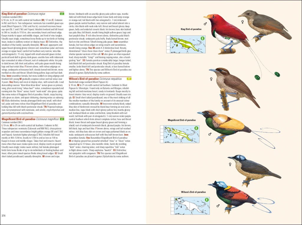 birds of new guinea. including bismarck archipelago and bougainville