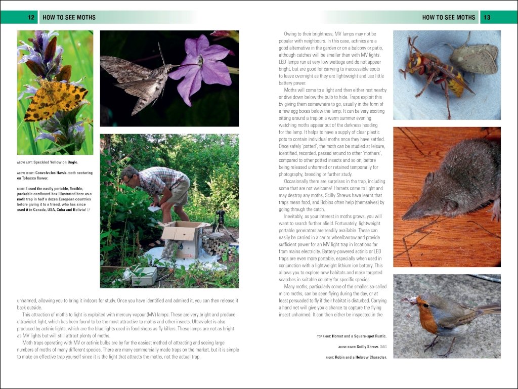 british & irish moths. a photographic guide