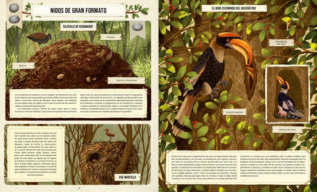 construcciones animales