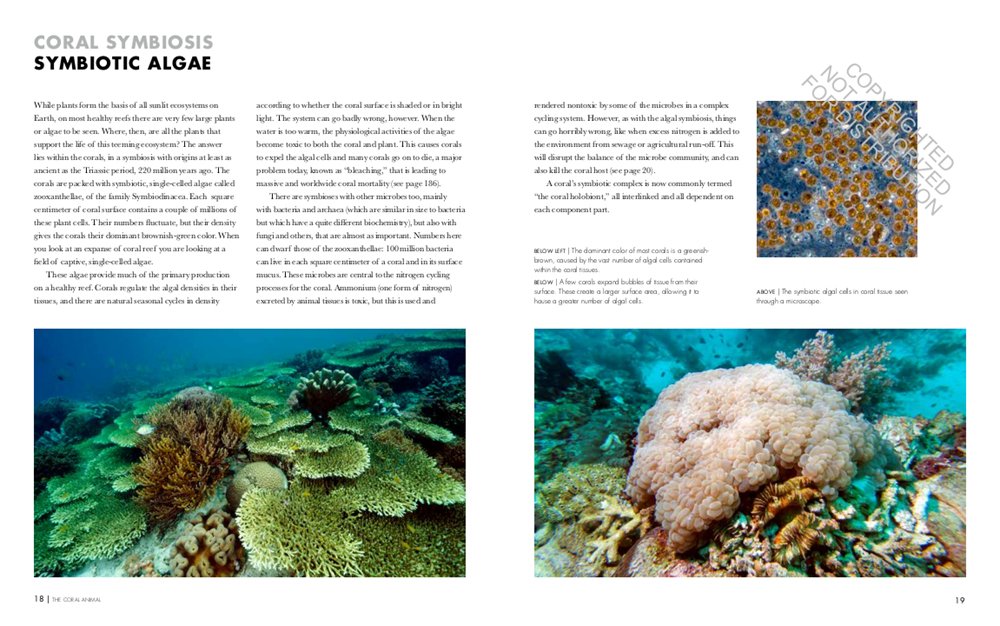 coral reefs: a natural history. an illustrated look at corals from around the world