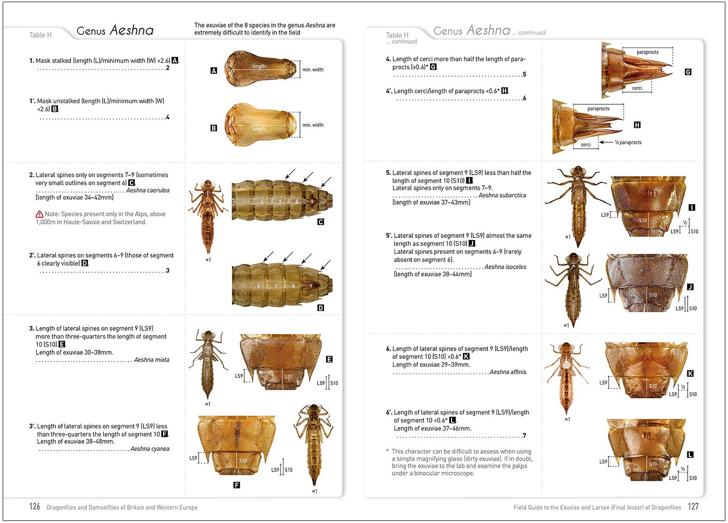 dragonflies and damselflies of britain and western europe. a photographic guide