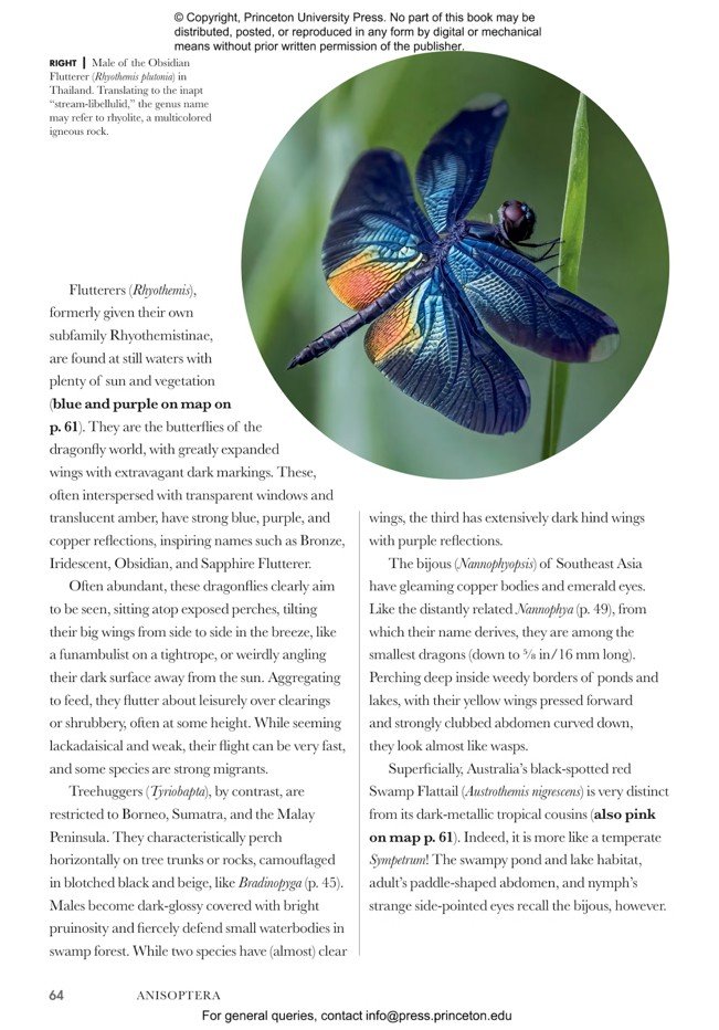 dragonflies and damselflies of the world. a guide to their diversity