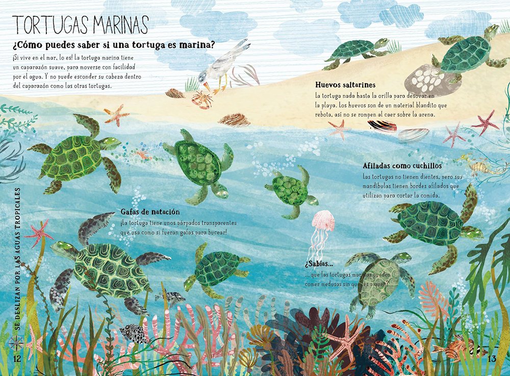 el gran libro del mar