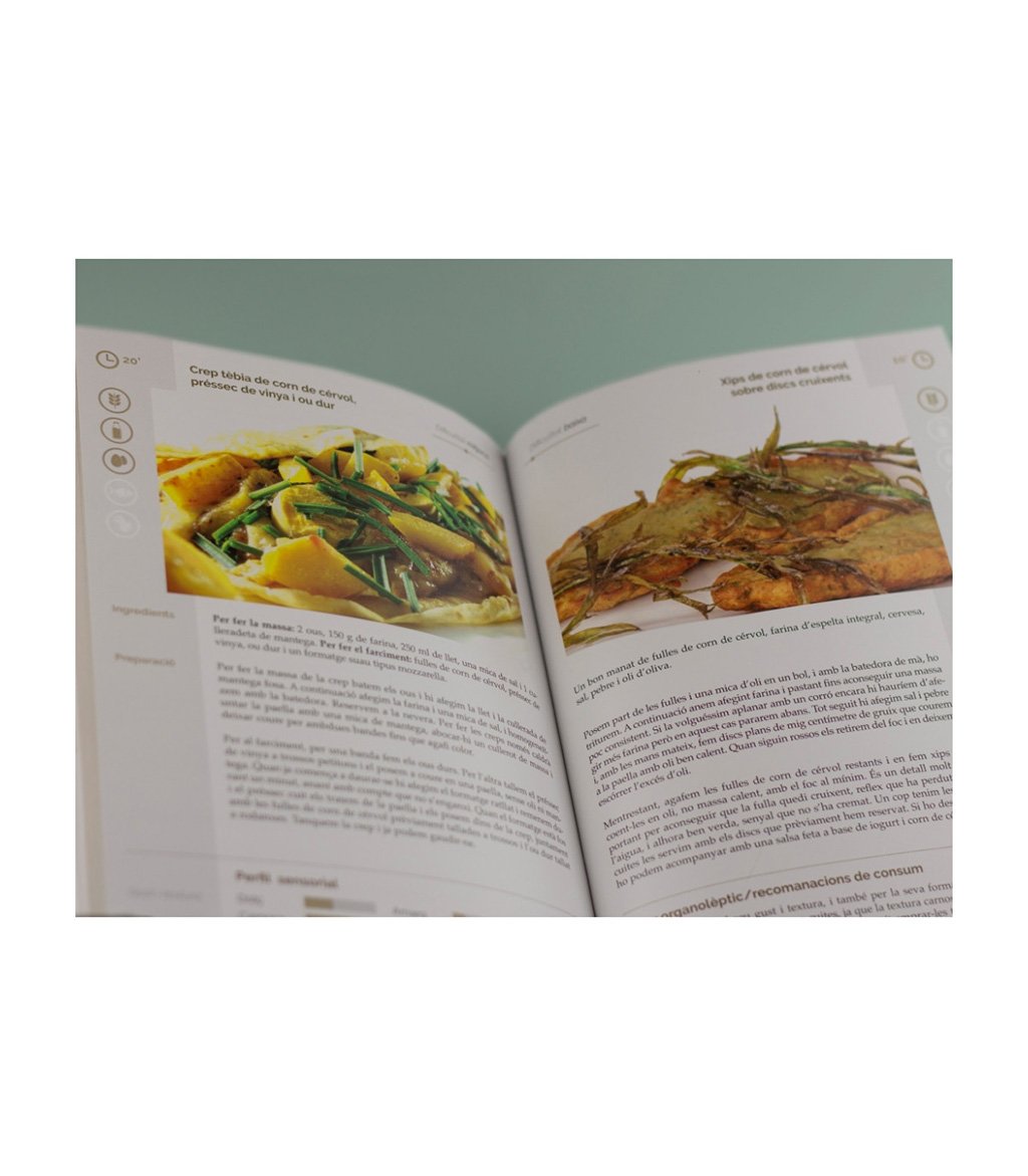 el llibre de les plantes silvestres comestibles 1