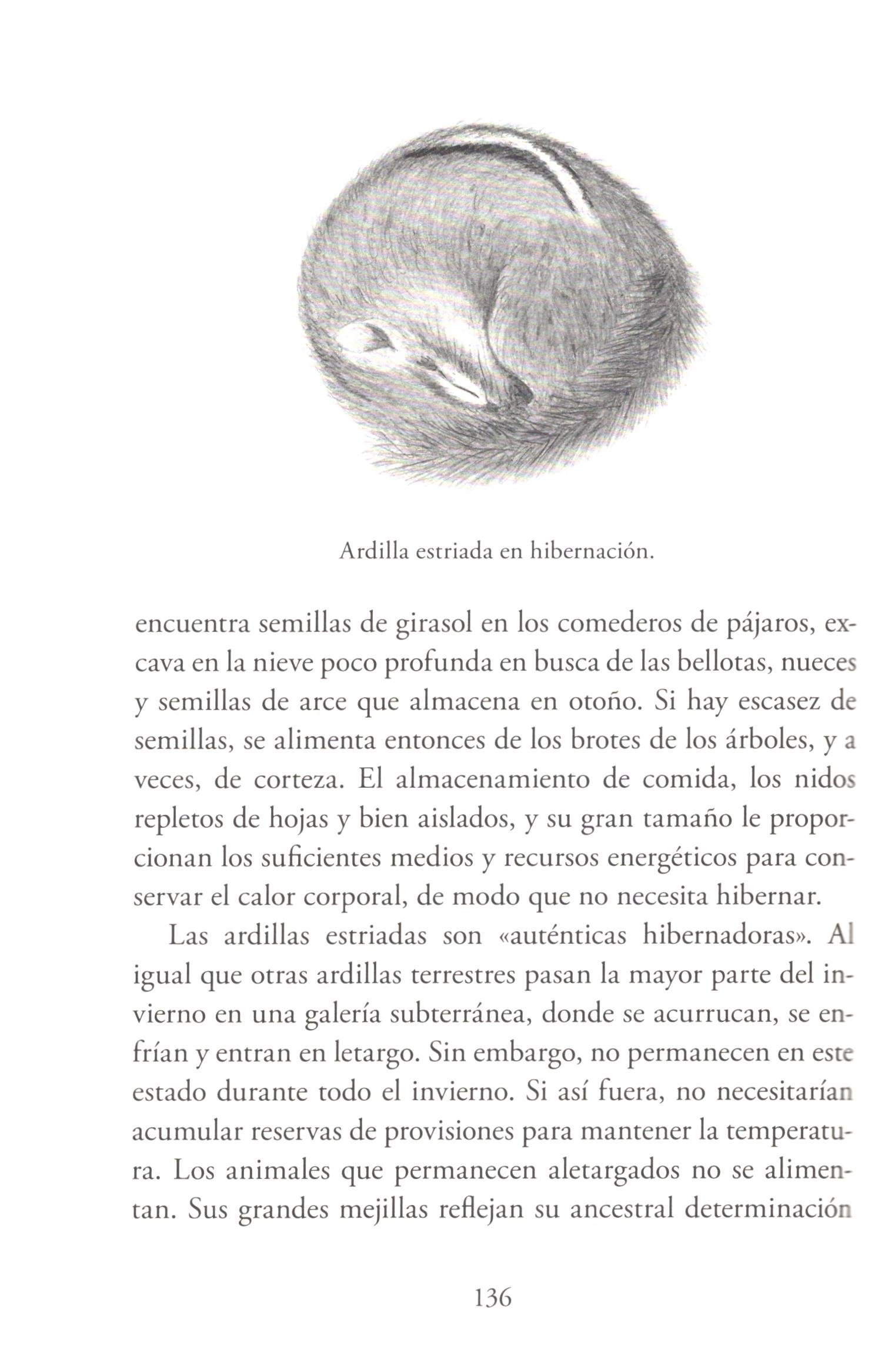 el mundo en invierno. el ingenio de la supervivencia animal