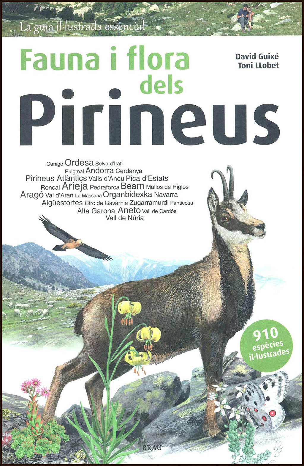 fauna i flora dels pirineus