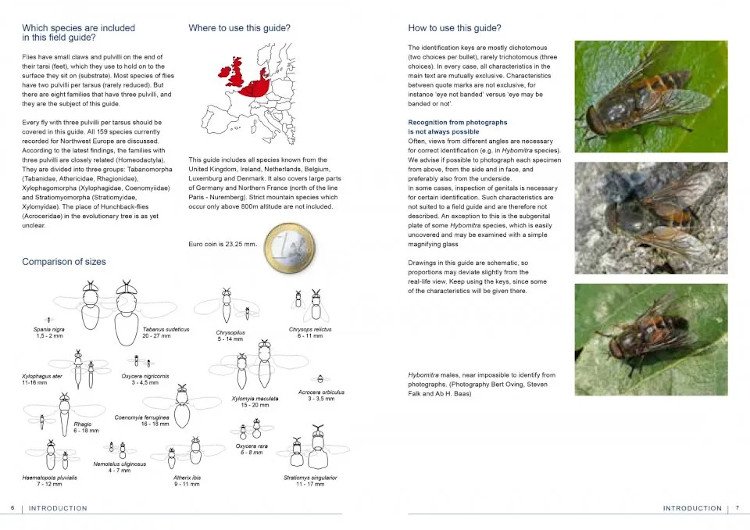 field guide to flies with three pulvilli. families of homeodactyla of northwest europe