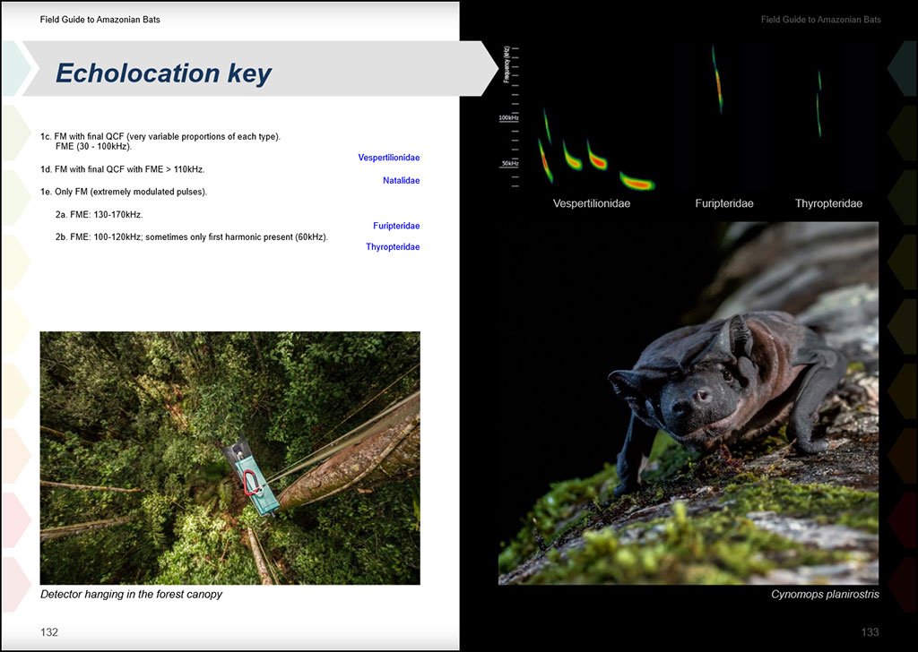 field guide to the bats of the amazon. 2nd ed.