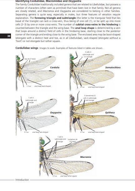 field guide to the dragonflies of britain and europe including western turkey and north-western africa