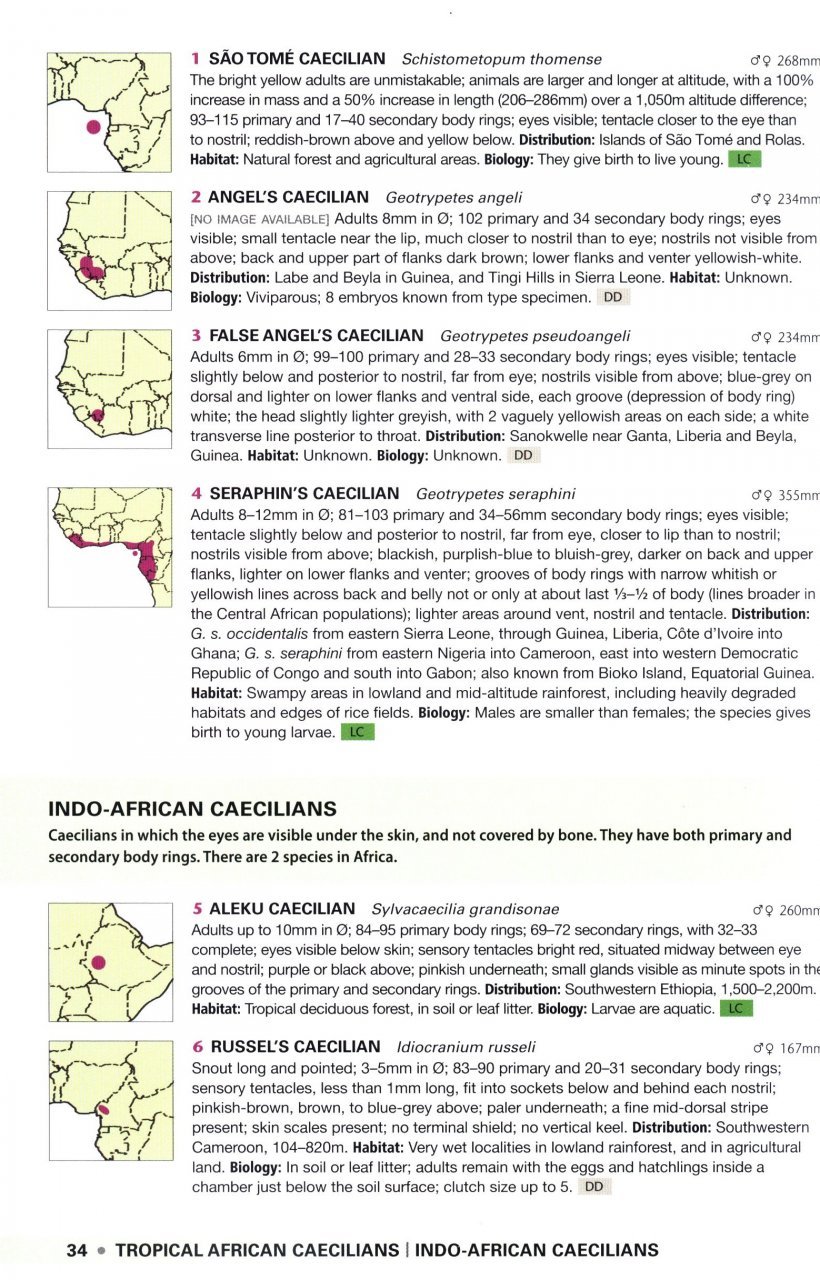 field guide to the frogs & other amphibians of africa