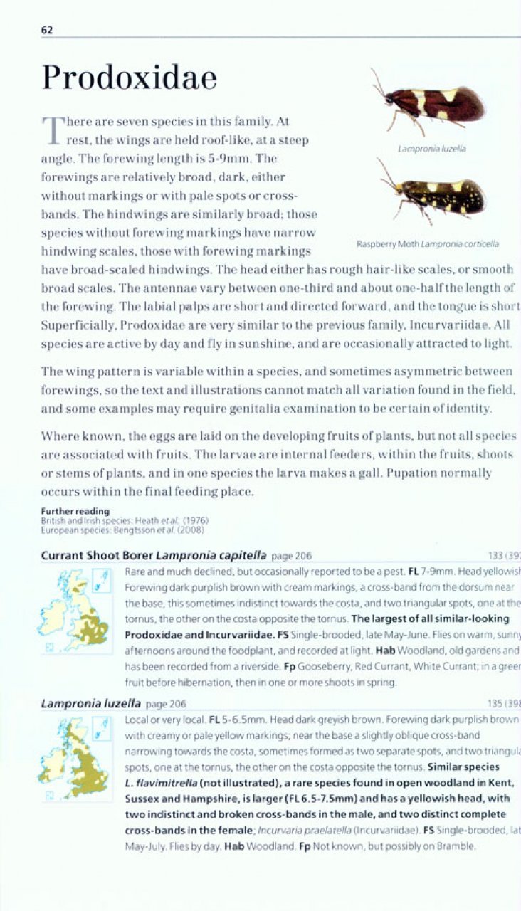 field guide to the micro-moths of great britain and ireland