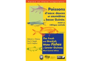 fishes of africa