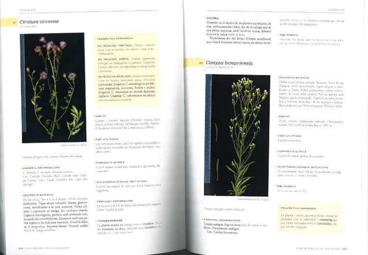 flora medicinal de les illes balears