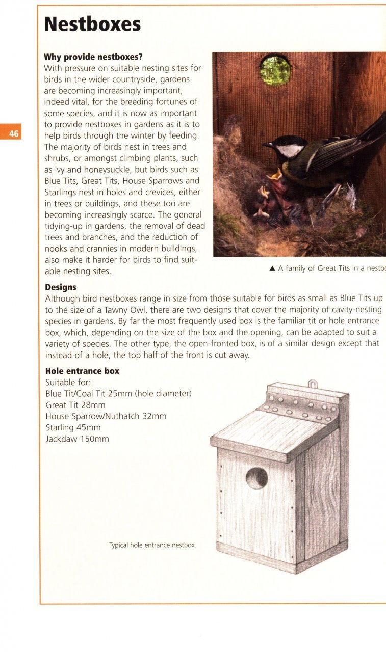 guide to garden wildlife